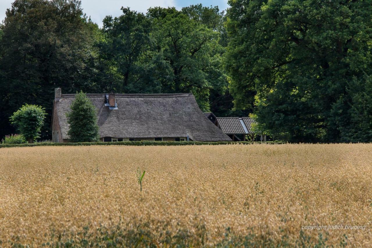 Jelly'S Hoeve (Adults Only) Havelte Exterior photo